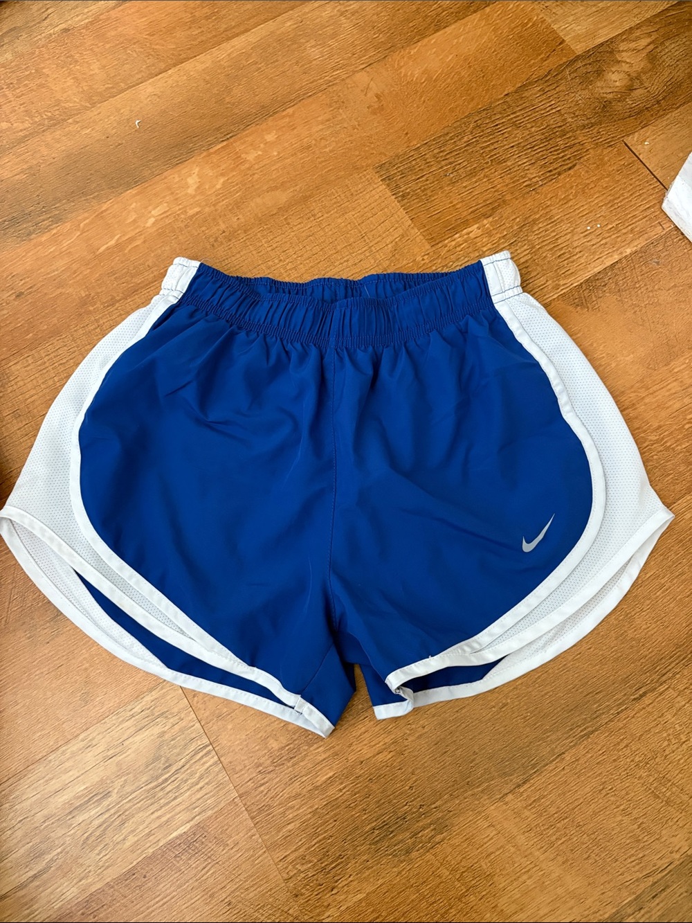 Nike Royal Blue and White Women's Athletic Diaper Shorts